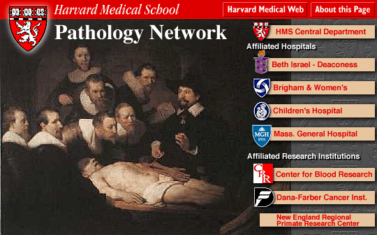 Harvard Medical School Pathology Network
